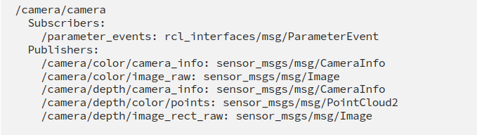 Terminal output of ros2 node info for the RealSense camera node